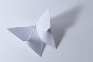 Origami Butterfly